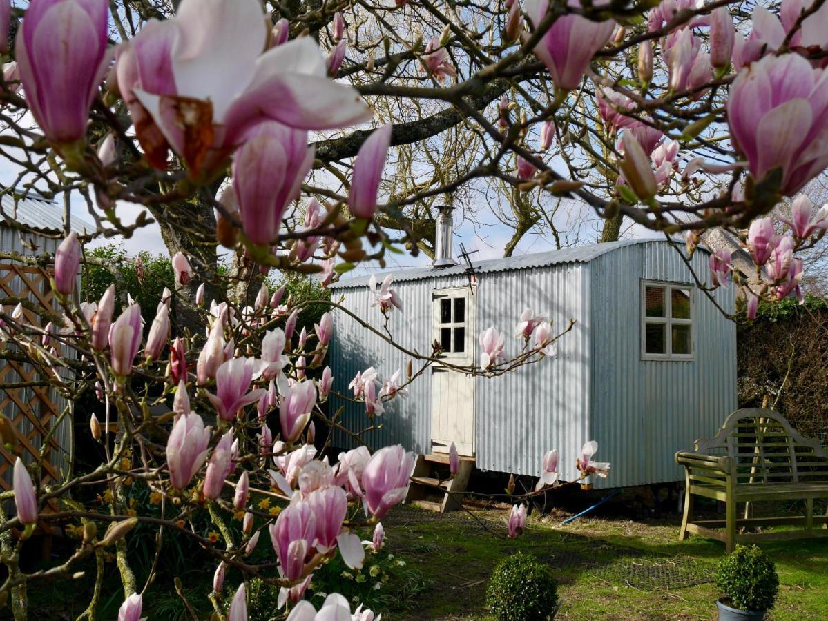 The Wayside Shepherd Hut Beaulieu Zewnętrze zdjęcie