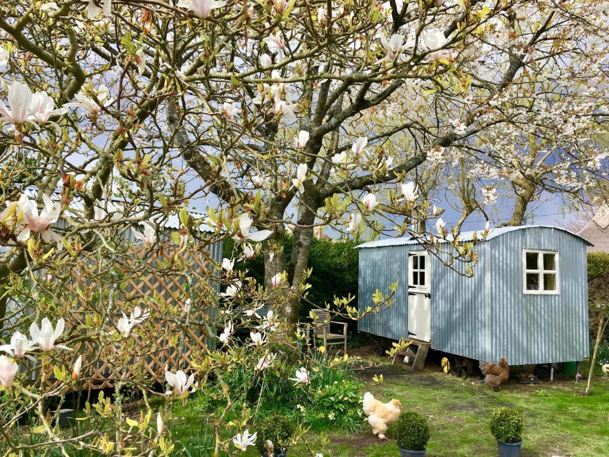 The Wayside Shepherd Hut Beaulieu Zewnętrze zdjęcie