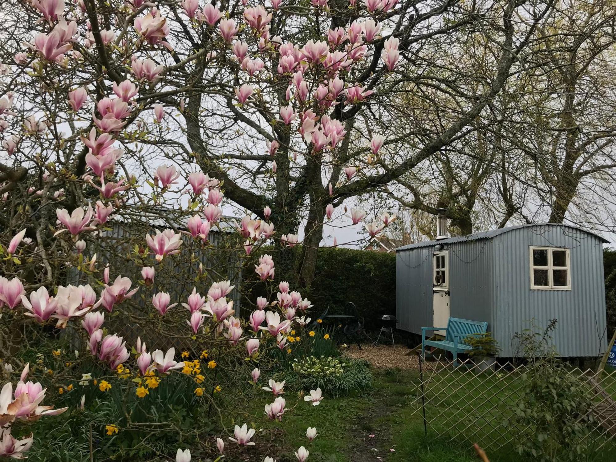 The Wayside Shepherd Hut Beaulieu Zewnętrze zdjęcie