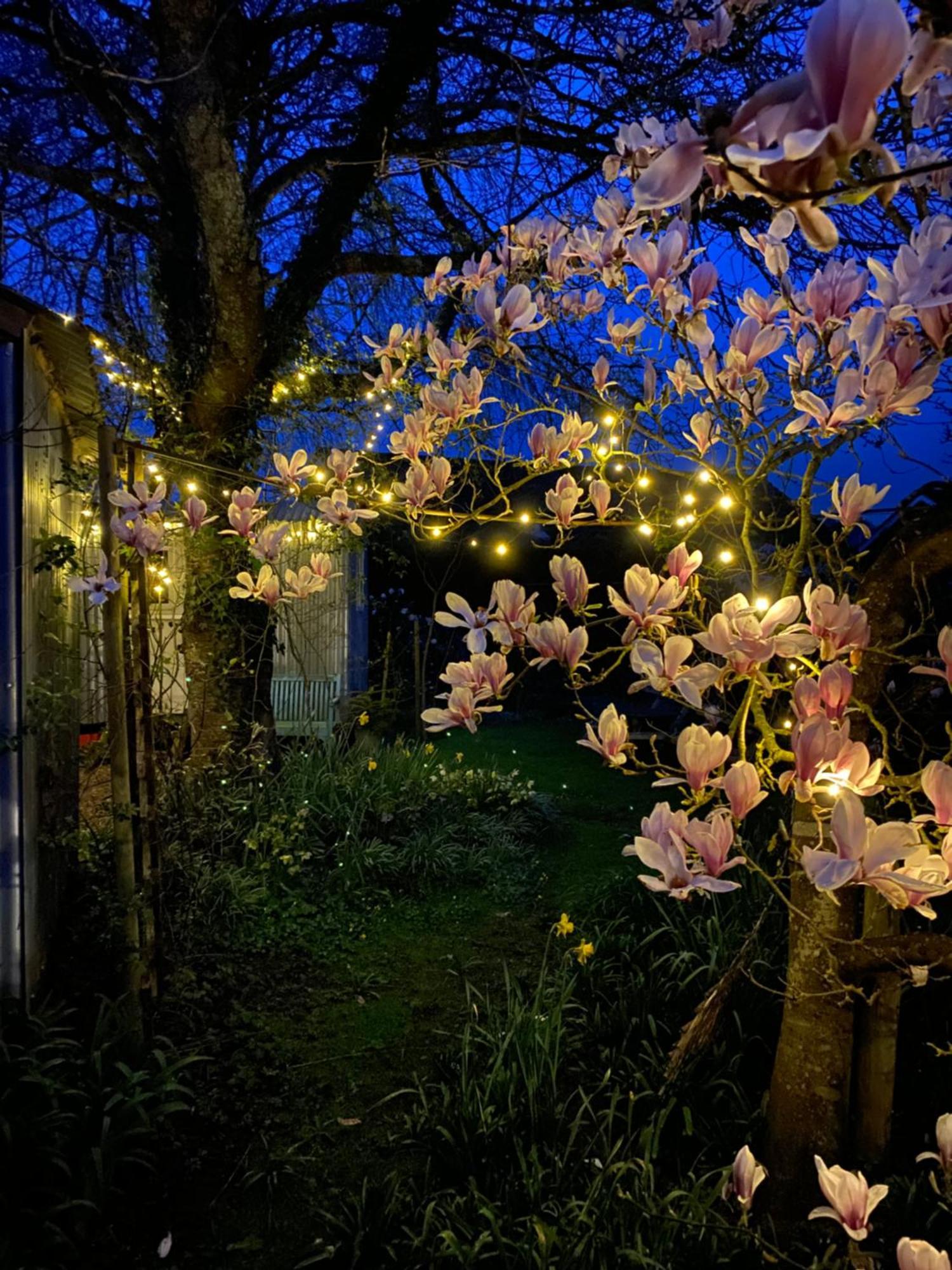 The Wayside Shepherd Hut Beaulieu Zewnętrze zdjęcie